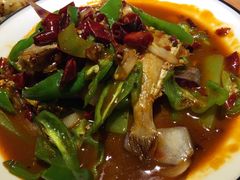 -酒肉行·虎子盐筋烤肉(大寨路店)