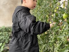 -北马山庄植趣咖啡