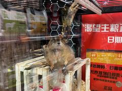 -宠物世家(仲盛世界商城店)