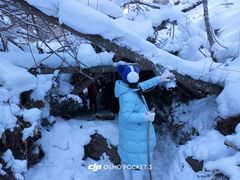 -峡谷浮石林景区