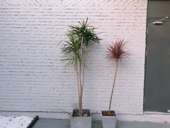 -小意思咖啡店(草桥店)
