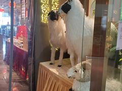 -百草滩羊清水涮羊肉·清真·宁夏盐池滩羊(莲花桥店)