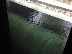 茗汤日月潭温泉会馆-河北霸州茗汤日月潭温泉
