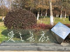 -昆山城市生态森林公园