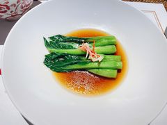 -觀芷隐轩