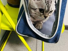 -半岛宠物医院24小时(科华中路店)