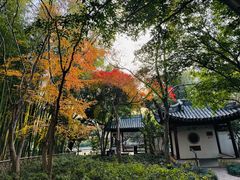-汇龙潭