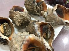 -宾朋海鲜特色美食餐厅·纯手工鲅鱼水饺(兴海路店)