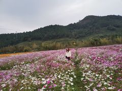-杭州乐园