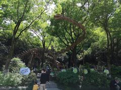 -杭州少年儿童公园
