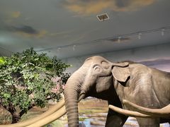 -湖南省地质博物馆