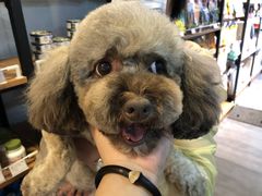 -PETKIT小佩宠物(古北店)