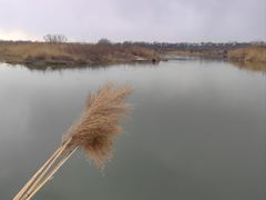 -绿堤公园
