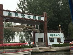 -白洋淀景区