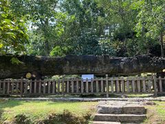 -唐崖土司城遗址