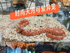 -时尚天河商业广场
