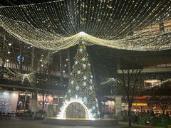 -苏小柳点心·手作小笼包(浦东嘉里城分院)