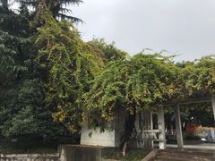 -环城公园-琥珀潭