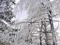 -溪口商量岗景区