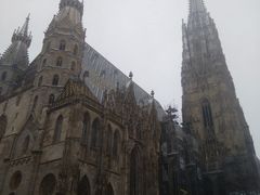 -斯蒂芬主教座堂(Stephansdom)