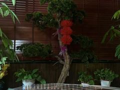 -臻享养生·SPA·影院式足道(汇臻店)