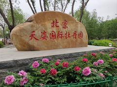 -太阳宫公园