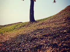 -盘龙城国家考古遗址公园