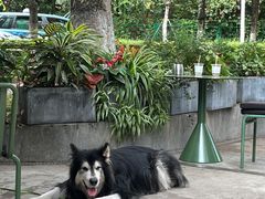 -Au Cafe&Roastery(华侨城店)