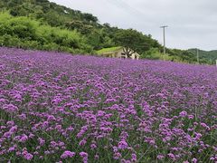 -东海半边山旅游度假区
