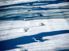 -沈阳职业技术学院