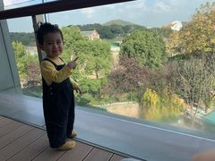 -上海佘山世茂艾美酒店