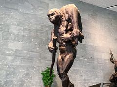 -北京周口店北京人遗址博物馆