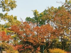 -南山植物园