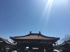 -神州牡丹园