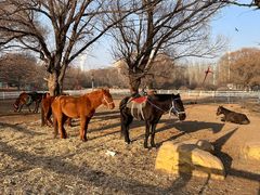 -赛汗塔拉风情园