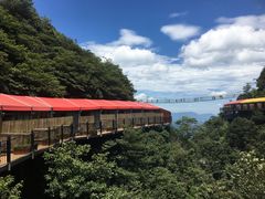 -梦幻奥陶纪景区
