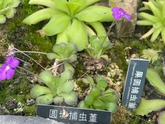 -国家植物园南园