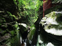 -黑河国家森林公园