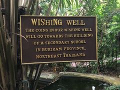 -卷心菜和避孕套餐厅(Pattaya)