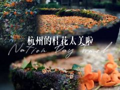 -杭州上天竺法喜讲寺