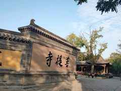 -台儿庄古城