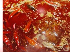 -蜀大侠火锅(寰球文化地标·总府店)