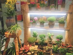 -十二舍·湯物素煮(江泰潤政店)