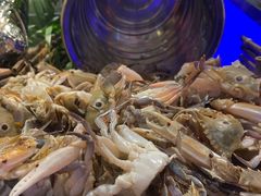 -海吃海喝海鲜烤肉炭火主题自助餐(朝阳店)