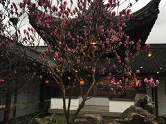 -碧丽宫大酒店(召稼楼店)