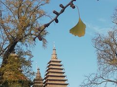 -北京石刻艺术博物馆(五塔寺)