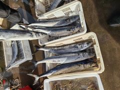 -77号渔船·蒸海鲜青岛菜(积米崖店)