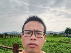 -中华茉莉园