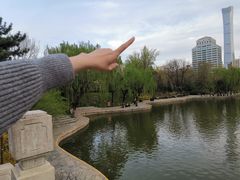 -团结湖公园