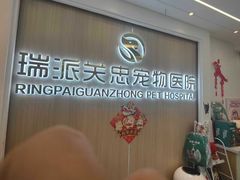-瑞派·关忠动物医院·猫专科·犬专科(三环新城店)